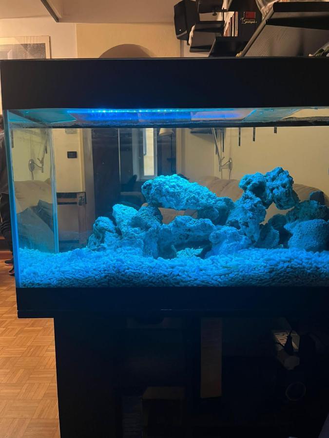 Red Sun Acquarium Apartment Bologna Ngoại thất bức ảnh